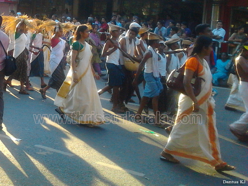 school-kalolsavam (90)